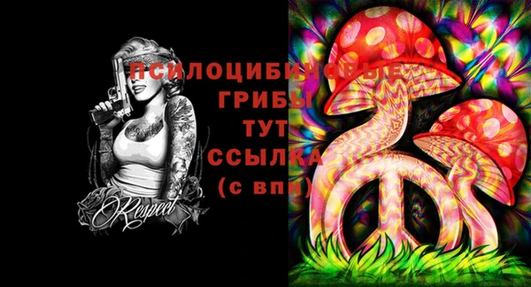 прущие крисы Алексеевка