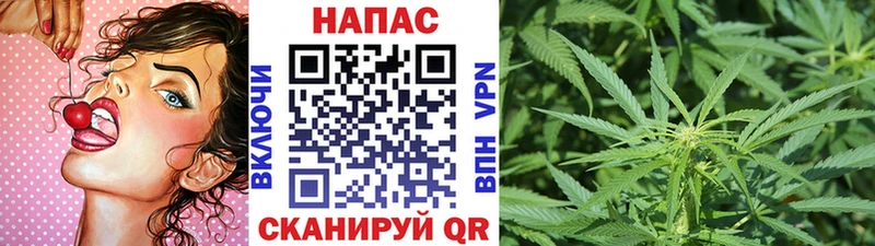 Канабис Ganja  купить наркоту  Хадыженск 
